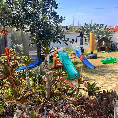 Fiore גאליפולי
