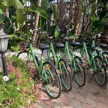 Fiore * 갈리폴리