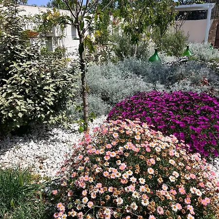 Fiore Holiday home Gallipoli