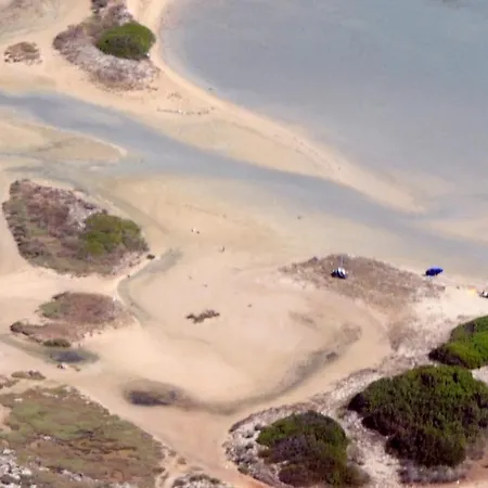 Fiore * 갈리폴리