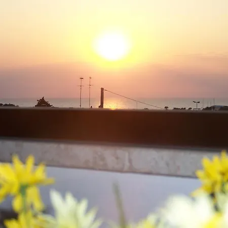 Fiore Gallipoli