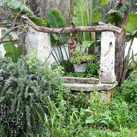 Holiday home Fiore *